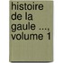 Histoire De La Gaule ..., Volume 1