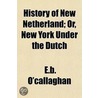 History Of New Netherland; Or, New York door Edmund Bailey O'Callaghan