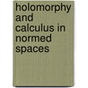 Holomorphy And Calculus In Normed Spaces door Soo Bong Chae