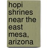 Hopi Shrines Near The East Mesa, Arizona by Unknown