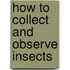 How To Collect And Observe Insects