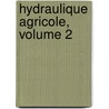 Hydraulique Agricole, Volume 2 door Paul Lvy-Salvador