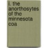 I. The Anorthosytes Of The Minnesota Coa