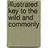 Illustrated Key To The Wild And Commonly