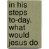 In His Steps To-Day. What Would Jesus Do