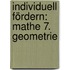 Individuell fördern: Mathe 7. Geometrie