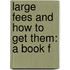 Large Fees And How To Get Them: A Book F