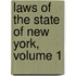 Laws Of The State Of New York, Volume 1