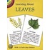 Learning about Leaves [With Tree Leaves]