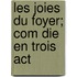 Les Joies Du Foyer; Com Die En Trois Act