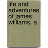 Life And Adventures Of James Williams, A door Professor James Williams