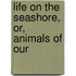 Life On The Seashore, Or, Animals Of Our