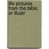 Life Pictures From The Bible, Or Illustr