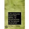 Life Pictures From The Bible, Or Illustr door Le Roy J. Halsey