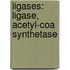 Ligases: Ligase, Acetyl-Coa Synthetase
