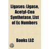 Ligases: Ligase, Acetyl-Coa Synthetase door Books Llc