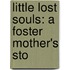 Little Lost Souls: A Foster Mother's Sto