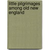 Little Pilgrimages Among Old New England by Unknown