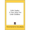 Little Sophy: A True Story For Little Ch door Onbekend