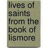 Lives Of Saints From The Book Of Lismore door Whitley Stokes