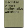 Macmillan Primary Mathematics Wallcharts door Bryn Roberts