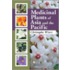 Medicinal Plants Of Asia And The Pacific