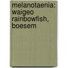 Melanotaenia: Waigeo Rainbowfish, Boesem by Unknown