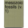 Mesozoic Fossils (V. 1) by Geological Survey of Canada