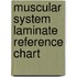 Muscular System Laminate Reference Chart