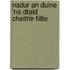 Nadur An Duine 'Na Dtaid Cheithir-Fillte