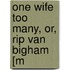 One Wife Too Many, Or, Rip Van Bigham [M