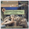 Opossum at Sycamore Road [With Cassette] door Sally Walker