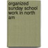 Organized Sunday School Work In North Am