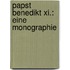 Papst Benedikt Xi.: Eine Monographie