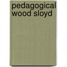 Pedagogical Wood Sloyd door Onbekend