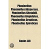 Phoxinellus: Phoxinellus Adspersus, Phox door Onbekend