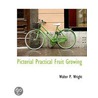 Pictorial Practical Fruit Growing door Walter Page Wright