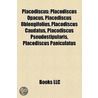 Placodiscus: Placodiscus Opacus, Placodi door Onbekend