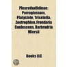 Pleurothallidinae: Porroglossum, Platyst door Books Llc