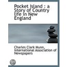 Pocket Island : A Story Of Country Life door Charles Clark Munn
