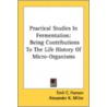 Practical Studies In Fermentation: Being door Onbekend