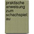 Praktische Anweisung Zum Schachspiel: Au