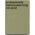 Professionelle Datenauswertung mit Pivot