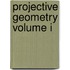 Projective Geometry Volume I