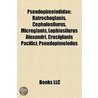 Pseudopimelodidae: Batrochoglanis, Cepha by Unknown