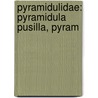 Pyramidulidae: Pyramidula Pusilla, Pyram by Unknown