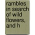 Rambles In Search Of Wild Flowers, And H