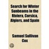 Search For Winter Sunbeams In The Rivier