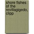 Shore Fishes Of The Revillagigedo, Clipp