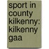 Sport In County Kilkenny: Kilkenny Gaa